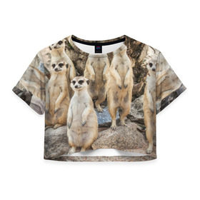 Женская футболка 3D укороченная с принтом Сурикаты в Курске, 100% полиэстер | круглая горловина, длина футболки до линии талии, рукава с отворотами | животное | зверёк | калахари | мангуст | млекопитающее | сурикат | южная африка