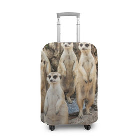 Чехол для чемодана 3D с принтом Сурикаты в Курске, 86% полиэфир, 14% спандекс | двустороннее нанесение принта, прорези для ручек и колес | животное | зверёк | калахари | мангуст | млекопитающее | сурикат | южная африка