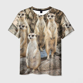 Мужская футболка 3D с принтом Сурикаты в Курске, 100% полиэфир | прямой крой, круглый вырез горловины, длина до линии бедер | животное | зверёк | калахари | мангуст | млекопитающее | сурикат | южная африка