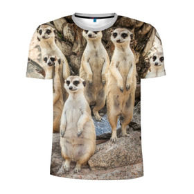 Мужская футболка 3D спортивная с принтом Сурикаты в Курске, 100% полиэстер с улучшенными характеристиками | приталенный силуэт, круглая горловина, широкие плечи, сужается к линии бедра | животное | зверёк | калахари | мангуст | млекопитающее | сурикат | южная африка