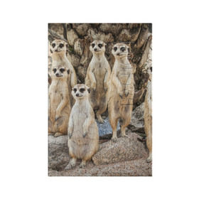 Обложка для паспорта матовая кожа с принтом Сурикаты в Курске, натуральная матовая кожа | размер 19,3 х 13,7 см; прозрачные пластиковые крепления | животное | зверёк | калахари | мангуст | млекопитающее | сурикат | южная африка