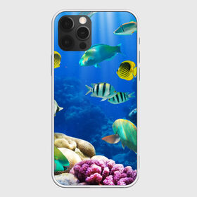 Чехол для iPhone 12 Pro Max с принтом Дайвинг в Курске, Силикон |  | дайвинг | египет | каникулы | коралловый риф | крабы | красное море | море | морские обитатели | океан | отдых | отпуск | подводные красоты | приключение | рыбки | рыбы | туризм