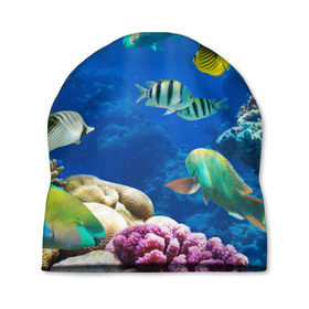 Шапка 3D с принтом Дайвинг в Курске, 100% полиэстер | универсальный размер, печать по всей поверхности изделия | дайвинг | египет | каникулы | коралловый риф | крабы | красное море | море | морские обитатели | океан | отдых | отпуск | подводные красоты | приключение | рыбки | рыбы | туризм
