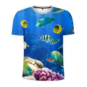 Мужская футболка 3D спортивная с принтом Дайвинг в Курске, 100% полиэстер с улучшенными характеристиками | приталенный силуэт, круглая горловина, широкие плечи, сужается к линии бедра | дайвинг | египет | каникулы | коралловый риф | крабы | красное море | море | морские обитатели | океан | отдых | отпуск | подводные красоты | приключение | рыбки | рыбы | туризм