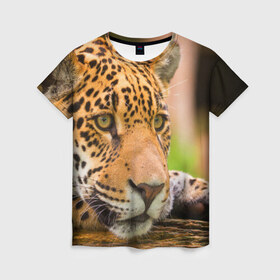 Женская футболка 3D с принтом Леопард в Курске, 100% полиэфир ( синтетическое хлопкоподобное полотно) | прямой крой, круглый вырез горловины, длина до линии бедер | взгляд | дикий | леопард | ягуар