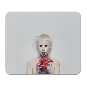 Коврик прямоугольный с принтом Die Antwoord в Курске, натуральный каучук | размер 230 х 185 мм; запечатка лицевой стороны | Тематика изображения на принте: 