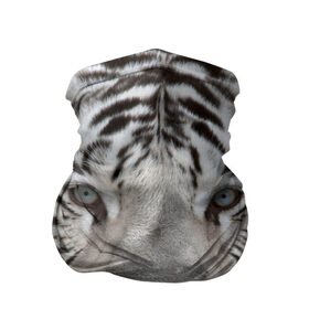 Бандана-труба 3D с принтом Бенгальский тигр в Курске, 100% полиэстер, ткань с особыми свойствами — Activecool | плотность 150‒180 г/м2; хорошо тянется, но сохраняет форму | tiger | белый | дикая кошка | тигр | хищник