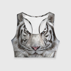 Женский спортивный топ 3D с принтом Бенгальский тигр в Курске, 82% полиэстер, 18% спандекс Ткань безопасна для здоровья, позволяет коже дышать, не мнется и не растягивается |  | tiger | белый | дикая кошка | тигр | хищник