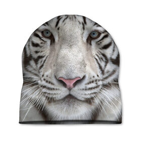Шапка 3D с принтом Бенгальский тигр в Курске, 100% полиэстер | универсальный размер, печать по всей поверхности изделия | tiger | белый | дикая кошка | тигр | хищник