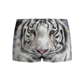 Мужские трусы 3D с принтом Бенгальский тигр в Курске, 50% хлопок, 50% полиэстер | классическая посадка, на поясе мягкая тканевая резинка | tiger | белый | дикая кошка | тигр | хищник