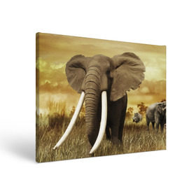 Холст прямоугольный с принтом Могучий слон в Курске, 100% ПВХ |  | elephant | африка | бивни | джунгли | мамонт | савана | сафари | слон | хобот