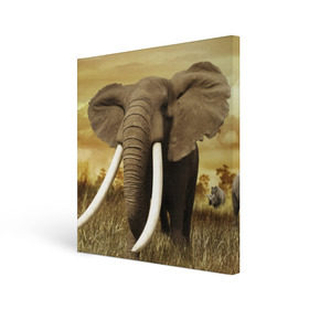 Холст квадратный с принтом Могучий слон в Курске, 100% ПВХ |  | elephant | африка | бивни | джунгли | мамонт | савана | сафари | слон | хобот