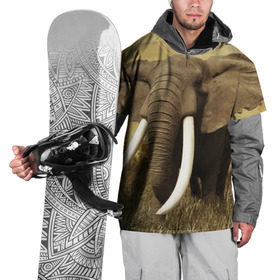 Накидка на куртку 3D с принтом Могучий слон в Курске, 100% полиэстер |  | elephant | африка | бивни | джунгли | мамонт | савана | сафари | слон | хобот