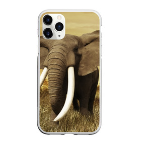 Чехол для iPhone 11 Pro матовый с принтом Могучий слон в Курске, Силикон |  | Тематика изображения на принте: elephant | африка | бивни | джунгли | мамонт | савана | сафари | слон | хобот