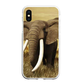Чехол для iPhone XS Max матовый с принтом Могучий слон в Курске, Силикон | Область печати: задняя сторона чехла, без боковых панелей | elephant | африка | бивни | джунгли | мамонт | савана | сафари | слон | хобот