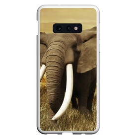 Чехол для Samsung S10E с принтом Могучий слон в Курске, Силикон | Область печати: задняя сторона чехла, без боковых панелей | Тематика изображения на принте: elephant | африка | бивни | джунгли | мамонт | савана | сафари | слон | хобот