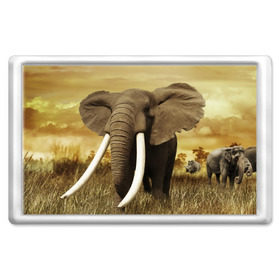 Магнит 45*70 с принтом Могучий слон в Курске, Пластик | Размер: 78*52 мм; Размер печати: 70*45 | elephant | африка | бивни | джунгли | мамонт | савана | сафари | слон | хобот