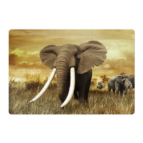 Магнитный плакат 3Х2 с принтом Могучий слон в Курске, Полимерный материал с магнитным слоем | 6 деталей размером 9*9 см | elephant | африка | бивни | джунгли | мамонт | савана | сафари | слон | хобот