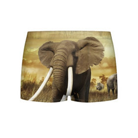 Мужские трусы 3D с принтом Могучий слон в Курске, 50% хлопок, 50% полиэстер | классическая посадка, на поясе мягкая тканевая резинка | elephant | африка | бивни | джунгли | мамонт | савана | сафари | слон | хобот