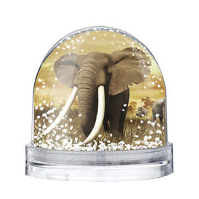 Водяной шар с принтом Могучий слон в Курске, Пластик | Изображение внутри шара печатается на глянцевой фотобумаге с двух сторон | elephant | африка | бивни | джунгли | мамонт | савана | сафари | слон | хобот