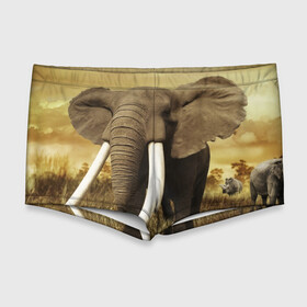 Мужские купальные плавки 3D с принтом Могучий слон в Курске, Полиэстер 85%, Спандекс 15% |  | Тематика изображения на принте: elephant | африка | бивни | джунгли | мамонт | савана | сафари | слон | хобот