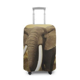 Чехол для чемодана 3D с принтом Могучий слон в Курске, 86% полиэфир, 14% спандекс | двустороннее нанесение принта, прорези для ручек и колес | elephant | африка | бивни | джунгли | мамонт | савана | сафари | слон | хобот
