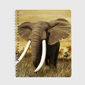 Тетрадь с принтом Могучий слон в Курске, 100% бумага | 48 листов, плотность листов — 60 г/м2, плотность картонной обложки — 250 г/м2. Листы скреплены сбоку удобной пружинной спиралью. Уголки страниц и обложки скругленные. Цвет линий — светло-серый
 | elephant | африка | бивни | джунгли | мамонт | савана | сафари | слон | хобот