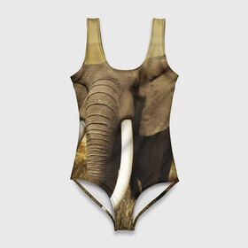 Купальник-боди 3D с принтом Могучий слон в Курске, 82% полиэстер, 18% эластан | Круглая горловина, круглый вырез на спине | elephant | африка | бивни | джунгли | мамонт | савана | сафари | слон | хобот