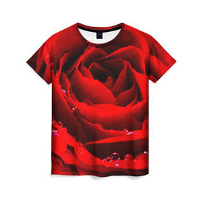 Женская футболка 3D с принтом Роза в Курске, 100% полиэфир ( синтетическое хлопкоподобное полотно) | прямой крой, круглый вырез горловины, длина до линии бедер | роза | розовая | розы | романтика | цветы