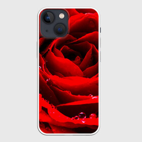 Чехол для iPhone 13 mini с принтом Роза в Курске,  |  | роза | розовая | розы | романтика | цветы