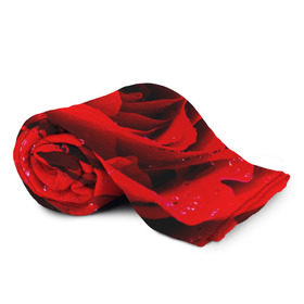 Плед 3D с принтом Роза в Курске, 100% полиэстер | закругленные углы, все края обработаны. Ткань не мнется и не растягивается | роза | розовая | розы | романтика | цветы