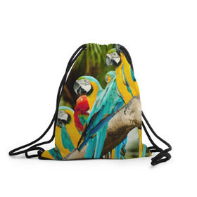 Рюкзак-мешок 3D с принтом Попугаи на ветке в Курске, 100% полиэстер | плотность ткани — 200 г/м2, размер — 35 х 45 см; лямки — толстые шнурки, застежка на шнуровке, без карманов и подкладки | джунгли | клюв | острова | перья | попугай | птица | тропики | экзотика