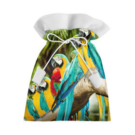 Подарочный 3D мешок с принтом Попугаи на ветке в Курске, 100% полиэстер | Размер: 29*39 см | Тематика изображения на принте: джунгли | клюв | острова | перья | попугай | птица | тропики | экзотика
