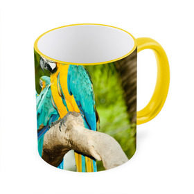 Кружка 3D с принтом Попугаи на ветке в Курске, керамика | ёмкость 330 мл | Тематика изображения на принте: джунгли | клюв | острова | перья | попугай | птица | тропики | экзотика