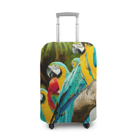 Чехол для чемодана 3D с принтом Попугаи на ветке в Курске, 86% полиэфир, 14% спандекс | двустороннее нанесение принта, прорези для ручек и колес | джунгли | клюв | острова | перья | попугай | птица | тропики | экзотика