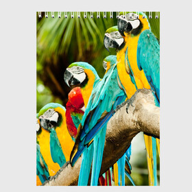 Скетчбук с принтом Попугаи на ветке в Курске, 100% бумага
 | 48 листов, плотность листов — 100 г/м2, плотность картонной обложки — 250 г/м2. Листы скреплены сверху удобной пружинной спиралью | джунгли | клюв | острова | перья | попугай | птица | тропики | экзотика
