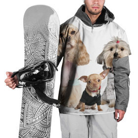 Накидка на куртку 3D с принтом Дивные собачки в Курске, 100% полиэстер |  | Тематика изображения на принте: весёлый | животное | зверёк | игривый | классный | красивый | лучший друг человека | любимец | милый | охрана | пёс | питомец | прикольный | смешной | собака | собачонка | ум | щенок | щеночек
