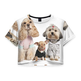 Женская футболка 3D укороченная с принтом Дивные собачки в Курске, 100% полиэстер | круглая горловина, длина футболки до линии талии, рукава с отворотами | весёлый | животное | зверёк | игривый | классный | красивый | лучший друг человека | любимец | милый | охрана | пёс | питомец | прикольный | смешной | собака | собачонка | ум | щенок | щеночек