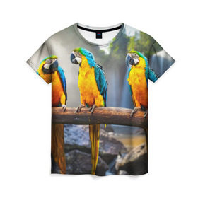 Женская футболка 3D с принтом Экзотические попугаи в Курске, 100% полиэфир ( синтетическое хлопкоподобное полотно) | прямой крой, круглый вырез горловины, длина до линии бедер | джунгли | клюв | острова | перья | попугай | птица | тропики | экзотика