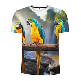 Мужская футболка 3D спортивная с принтом Экзотические попугаи в Курске, 100% полиэстер с улучшенными характеристиками | приталенный силуэт, круглая горловина, широкие плечи, сужается к линии бедра | джунгли | клюв | острова | перья | попугай | птица | тропики | экзотика