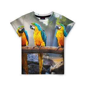 Детская футболка 3D с принтом Экзотические попугаи в Курске, 100% гипоаллергенный полиэфир | прямой крой, круглый вырез горловины, длина до линии бедер, чуть спущенное плечо, ткань немного тянется | джунгли | клюв | острова | перья | попугай | птица | тропики | экзотика