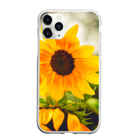 Чехол для iPhone 11 Pro матовый с принтом Подсолнухи в Курске, Силикон |  | лето | подсолнух | солнце | цветы