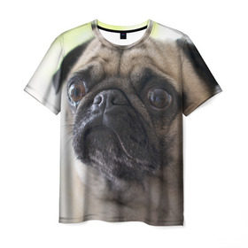 Мужская футболка 3D с принтом Мопс в Курске, 100% полиэфир | прямой крой, круглый вырез горловины, длина до линии бедер | мопс | мопсы | собака | собаки