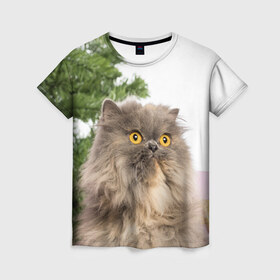 Женская футболка 3D с принтом Пушистый кот в Курске, 100% полиэфир ( синтетическое хлопкоподобное полотно) | прямой крой, круглый вырез горловины, длина до линии бедер | 