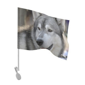 Флаг для автомобиля с принтом Хаски в Курске, 100% полиэстер | Размер: 30*21 см | собака | собаки | хаски