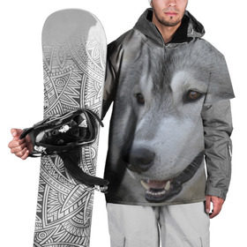 Накидка на куртку 3D с принтом Хаски в Курске, 100% полиэстер |  | собака | собаки | хаски