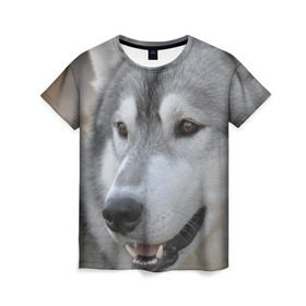 Женская футболка 3D с принтом Хаски в Курске, 100% полиэфир ( синтетическое хлопкоподобное полотно) | прямой крой, круглый вырез горловины, длина до линии бедер | собака | собаки | хаски