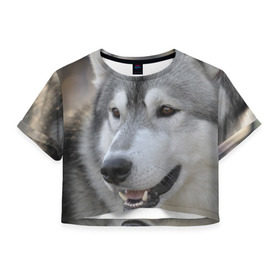 Женская футболка 3D укороченная с принтом Хаски в Курске, 100% полиэстер | круглая горловина, длина футболки до линии талии, рукава с отворотами | собака | собаки | хаски