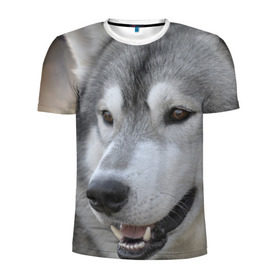Мужская футболка 3D спортивная с принтом Хаски в Курске, 100% полиэстер с улучшенными характеристиками | приталенный силуэт, круглая горловина, широкие плечи, сужается к линии бедра | собака | собаки | хаски