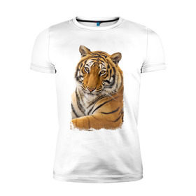 Мужская футболка премиум с принтом Тигр (retro style) в Курске, 92% хлопок, 8% лайкра | приталенный силуэт, круглый вырез ворота, длина до линии бедра, короткий рукав | tiger | дикая кошка | тигр | хищник